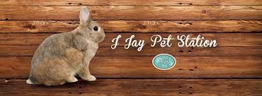 J Jay Pet Station